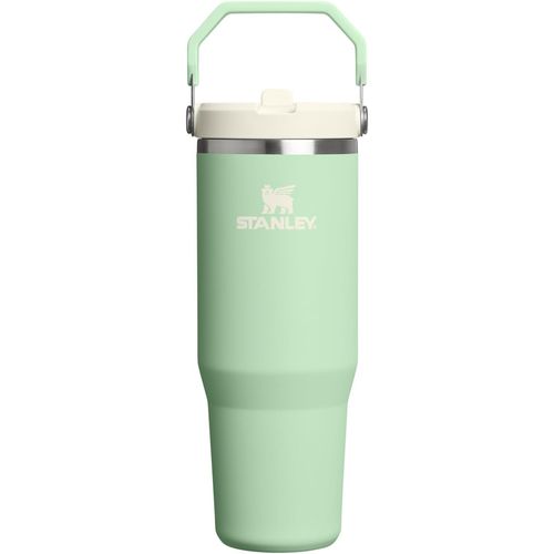 STANLEY IceFlow 2.0 Flip Straw Tumbler, 30 oz, Pistachio