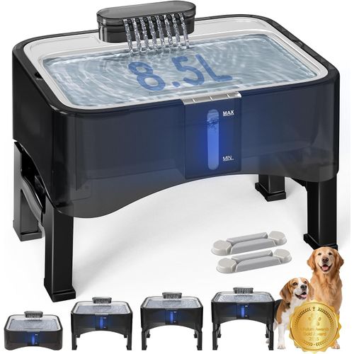 Fuente de agua elevada de 8,5 L con 4 alturas ajustable