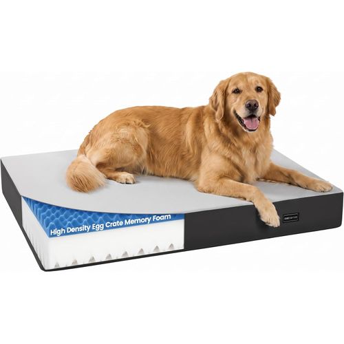 Cama Ortopédica Perro 78,7 cm Espuma Viscoelástica