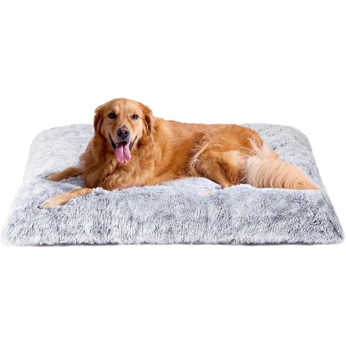 Cama Para Perros